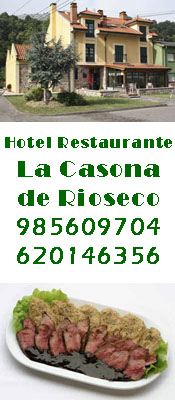 Banner a Hotel la Casona
